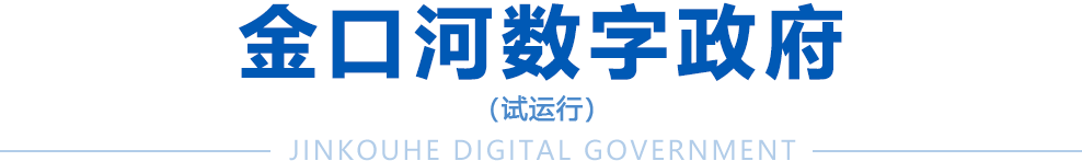 金口河數字政府